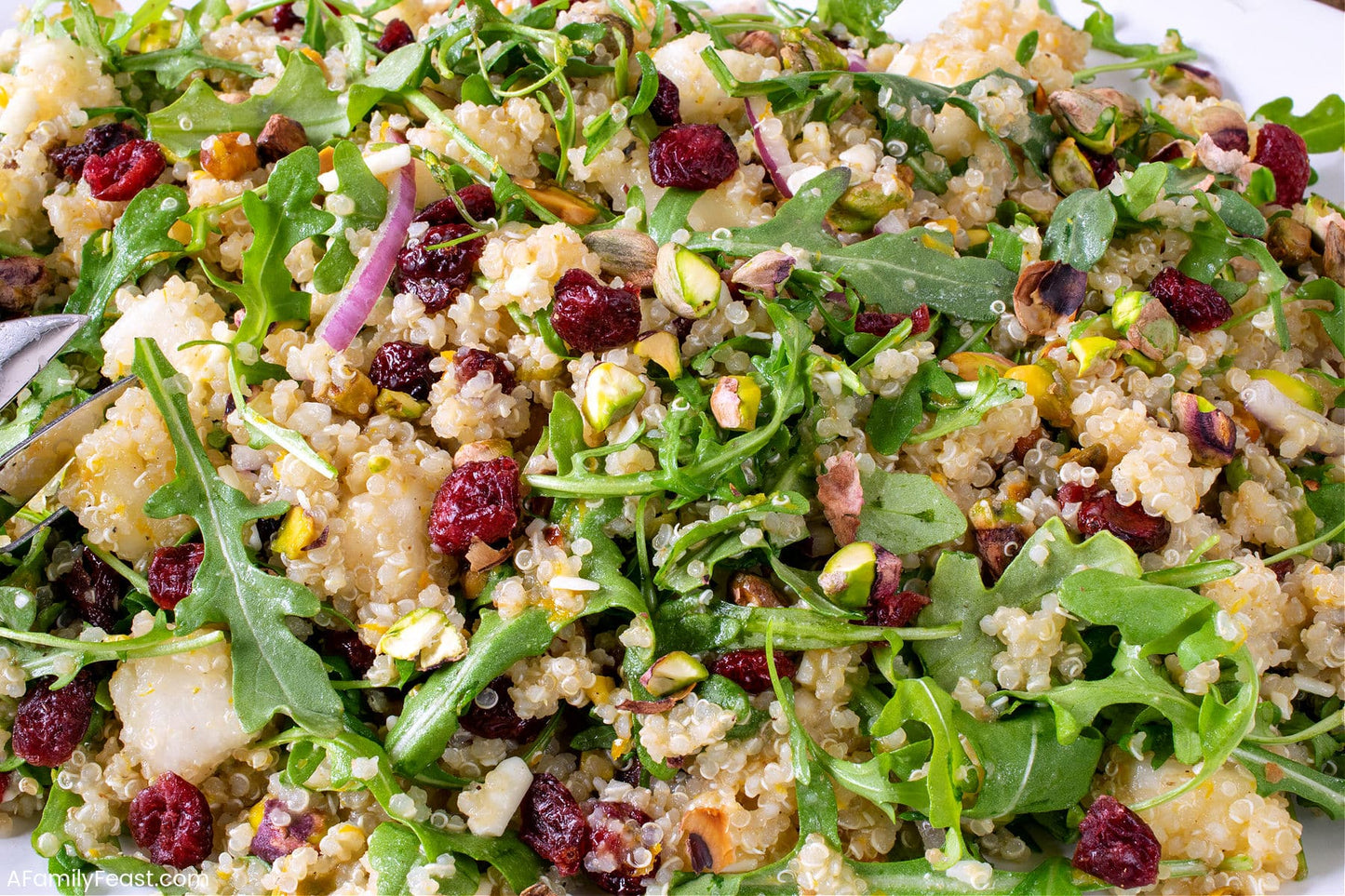 ARUGULA QUINOA SALAD RH 9X9 CLAM